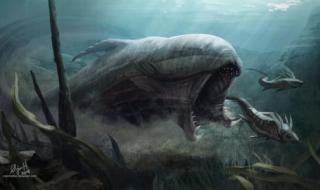 神秘的深海巨兽