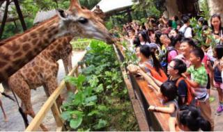 广州动物园好玩吗