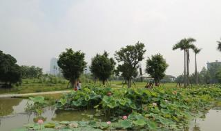 漳州碧湖生态园